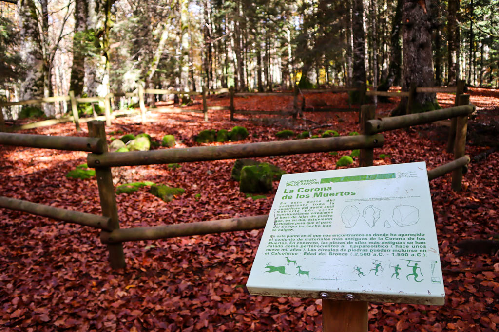 excursión corona de los muertos en la selva de oza