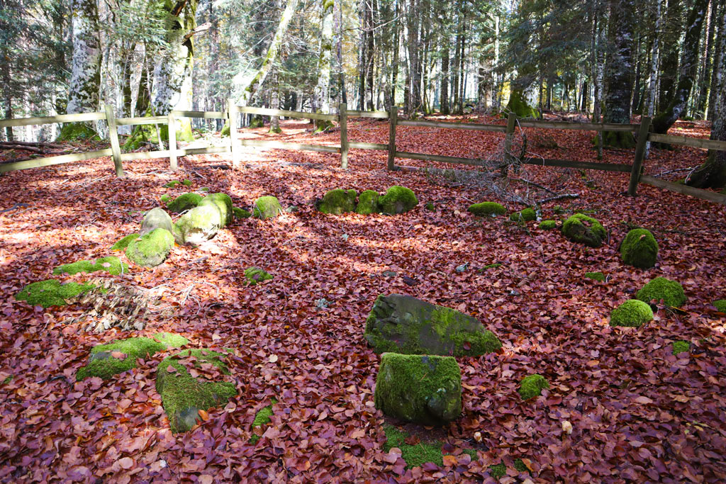 yacimiento arqueológico selva de oza