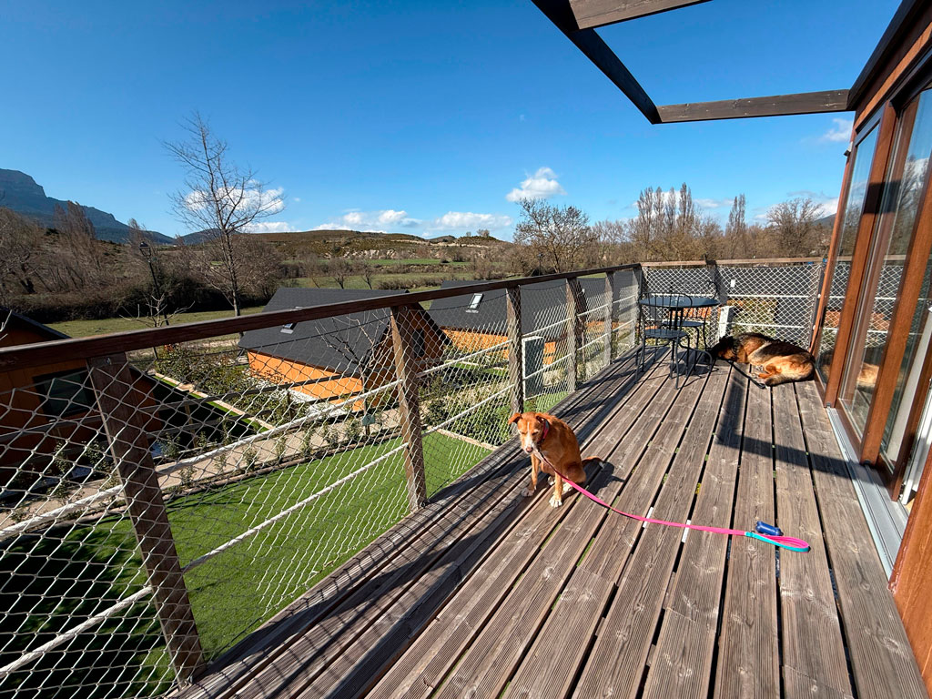 alojamiento-petfriendly-en-el-pirineo