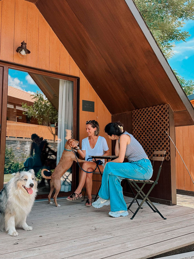 camping petfriendly en el Pirineo