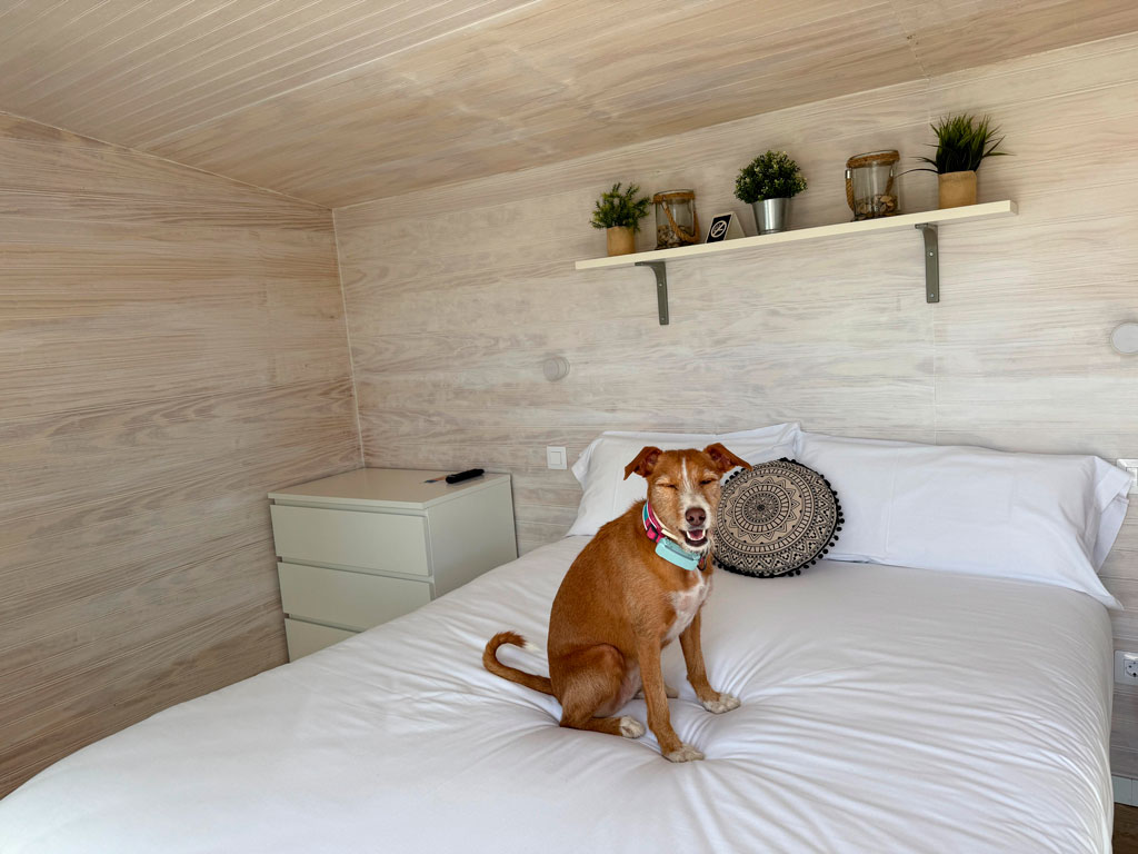 camping petfriendly en el pirineo aragones