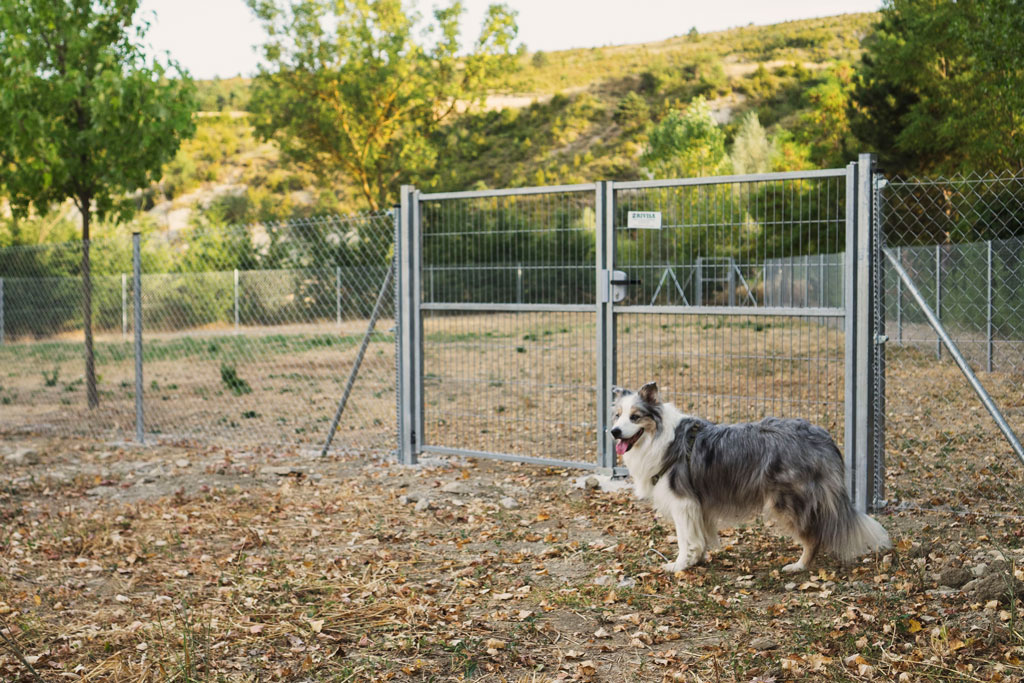 camping-con-zona-de-suelta-para-perros