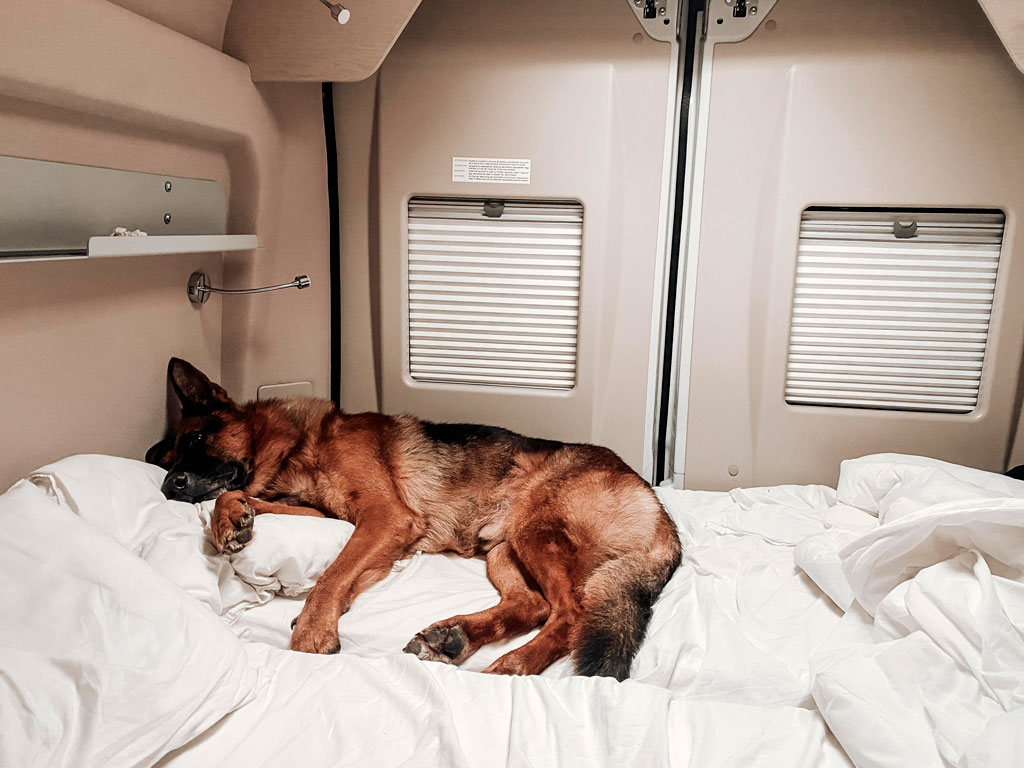 camping-petfriendly-aprcelas-camper