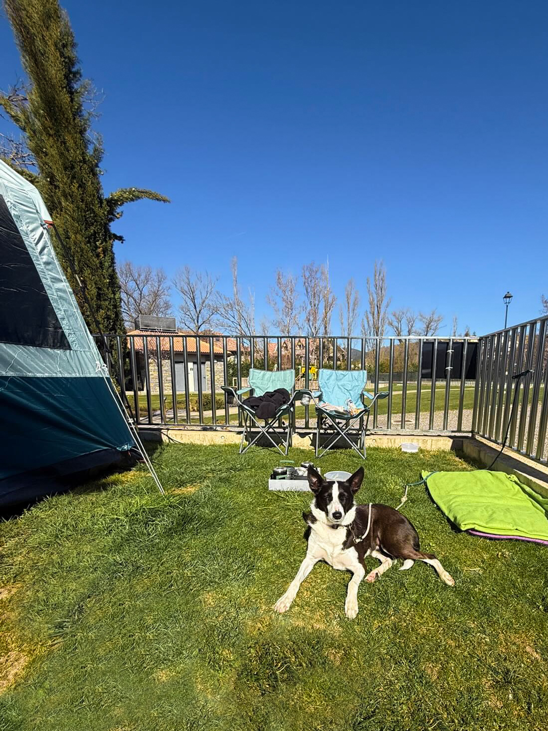 camping petfriendly parcelas