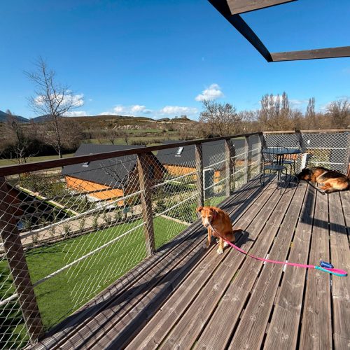 alojamiento-petfriendly-en-el-pirineo