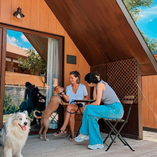 camping petfriendly en el Pirineo