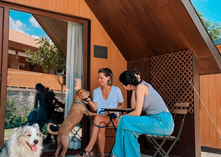 camping petfriendly en el Pirineo