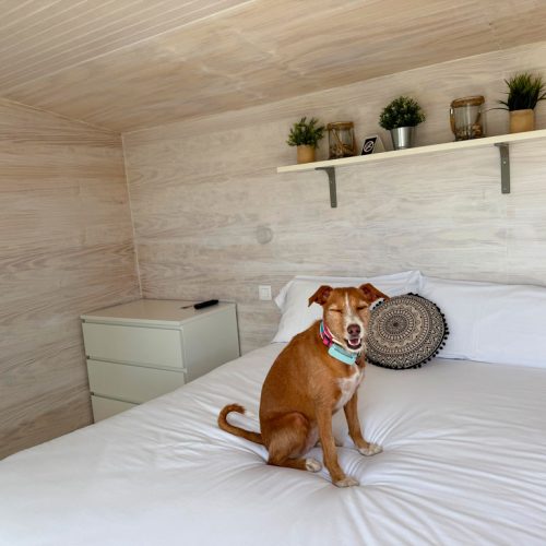 bungalows-petfriendly-en-jaca