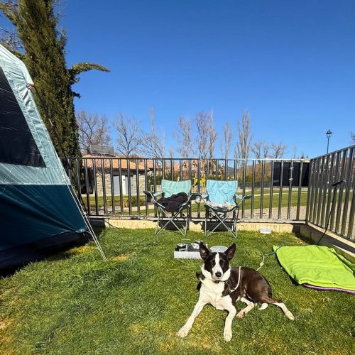 camping petfriendly parcelas