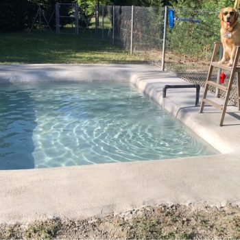 piscina perrtes