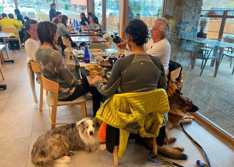 restaurante-para-comer-con-perro-en-jaca