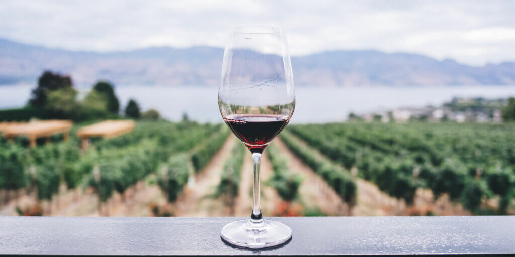 copa de vino apoyada en una barandilla con un viñedo al fondo